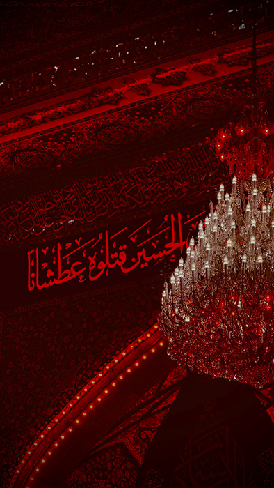 تصویری از حرم امام حسین در روز عاشورا